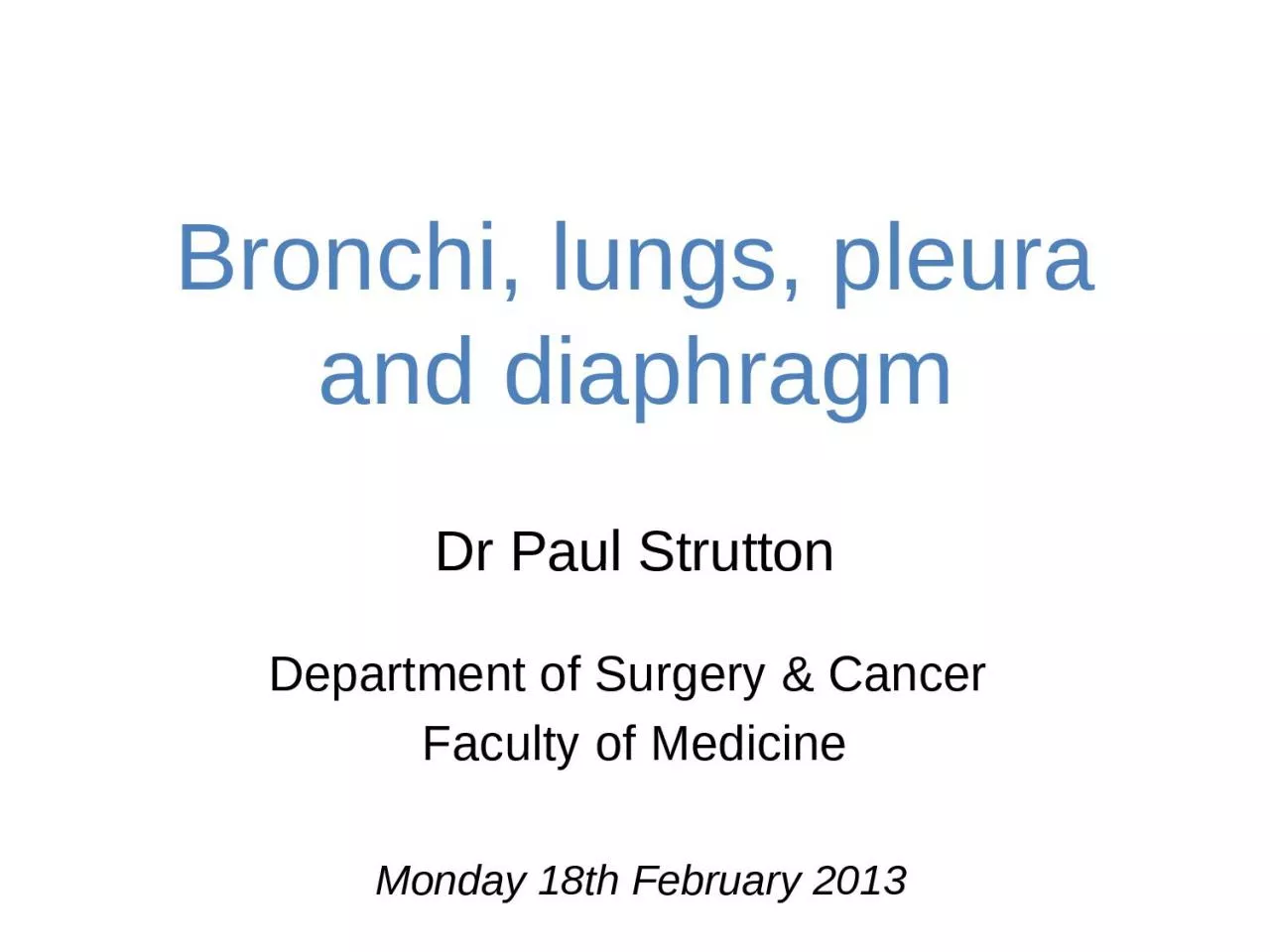 Bronchi, lungs, pleura and diaphragm
