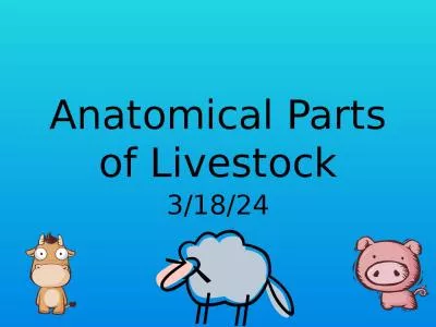 Anatomical Parts of Livestock