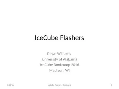 IceCube  Flashers Dawn Williams
