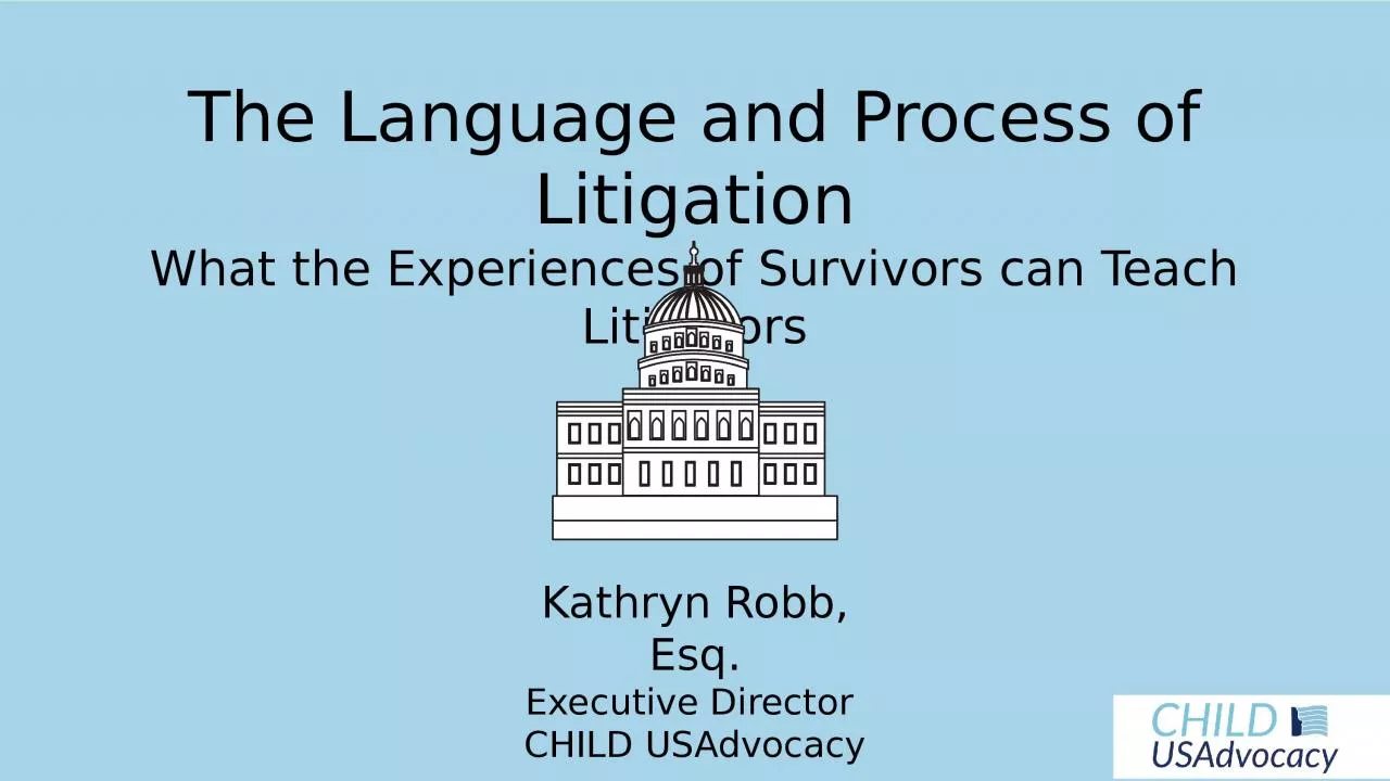 The Language and Process of Litigation