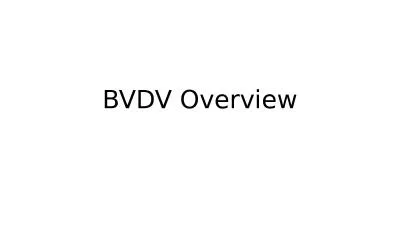 BVDV Overview Classification