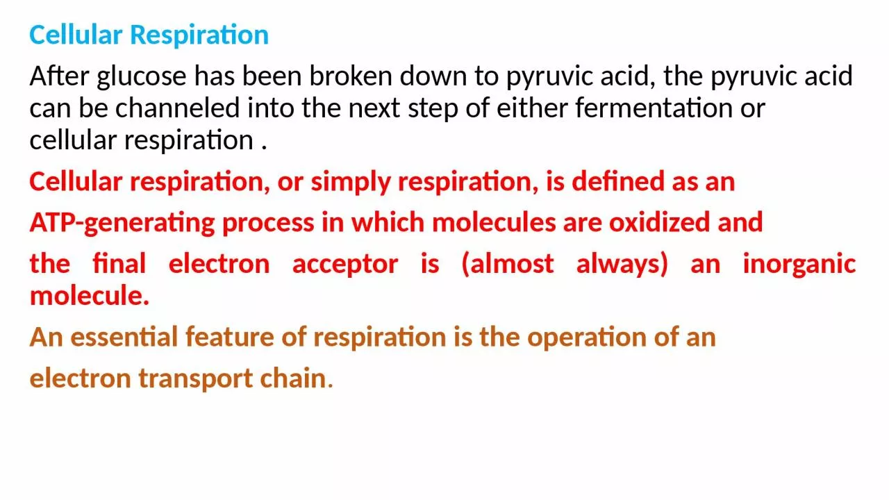 Cellular Respiration After glucose has been broken down to pyruvic acid, the pyruvic acid