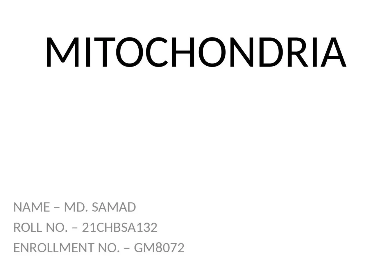 MITOCHONDRIA NAME – MD. SAMAD
