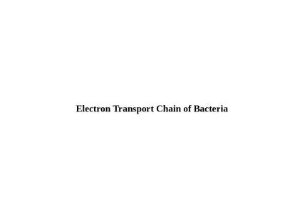 Electron Transport Chain of Bacteria