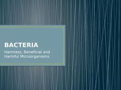 BACTERIA Harmless, Beneficial and Harmful Microorganisms
