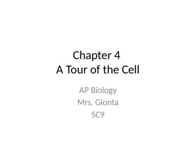Chapter 4  A Tour of the Cell