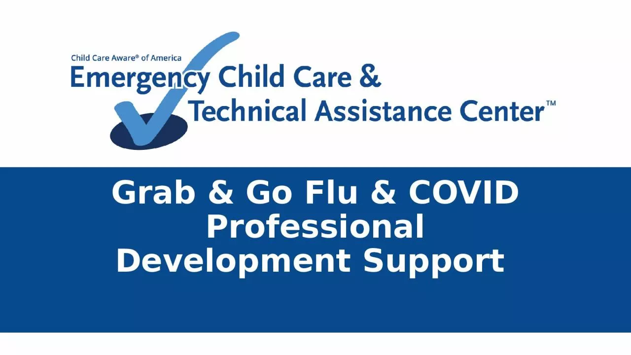 Grab & Go Flu & COVID Professional Development Support
