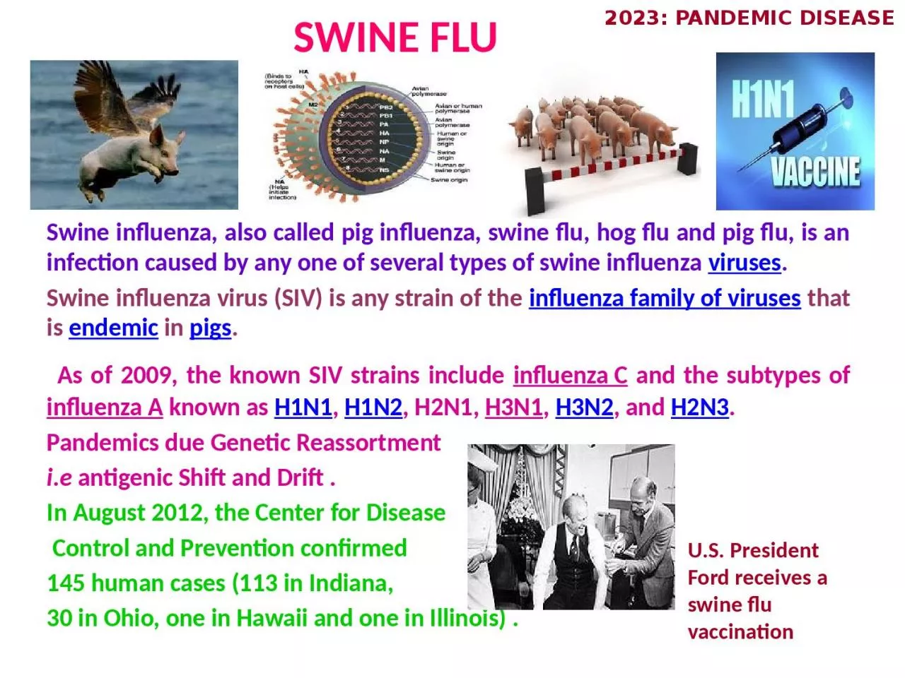 SWINE FLU Swine influenza, also called pig influenza, swine flu, hog flu and pig flu,
