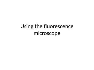 Using the fluorescence microscope