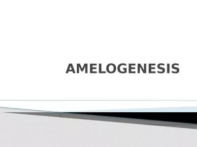 AMELOGENESIS According to their function, the life span of the cells of the inner enamel epithelium
