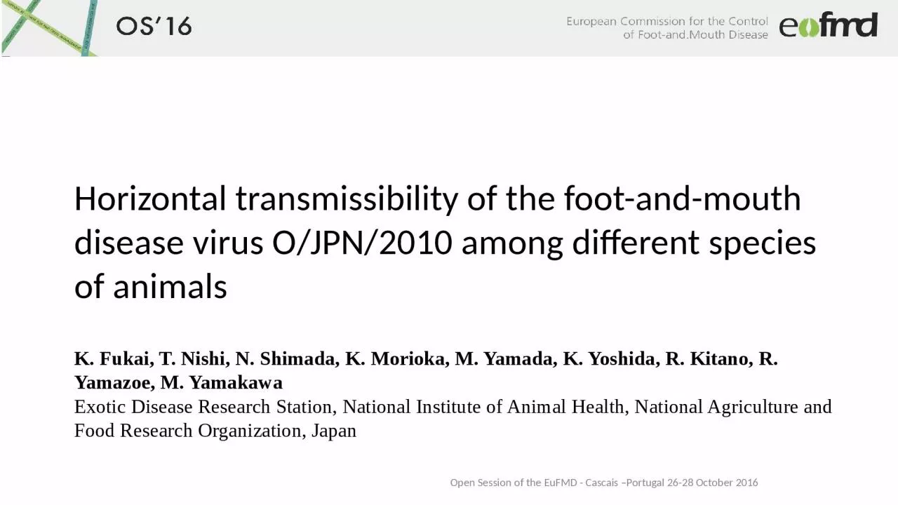 Horizontal transmissibility of the foot-and-mouth disease virus O/JPN/2010 among different