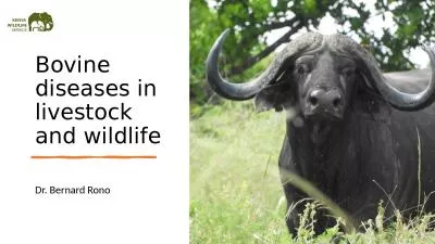 Bovine  diseases in livestock and wildlife
