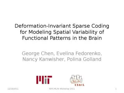 Deformation-Invariant Sparse Coding for Modeling Spatial Variability of Functional Patterns in the