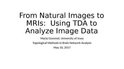 From Natural Images to MRIs:  Using TDA to