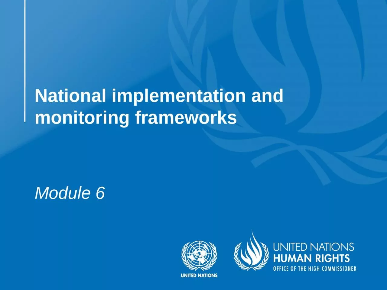 Module 6 National implementation and monitoring frameworks