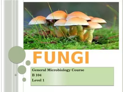 Fungi  General Microbiology Course