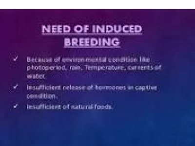 Induced Breeding Techniques: