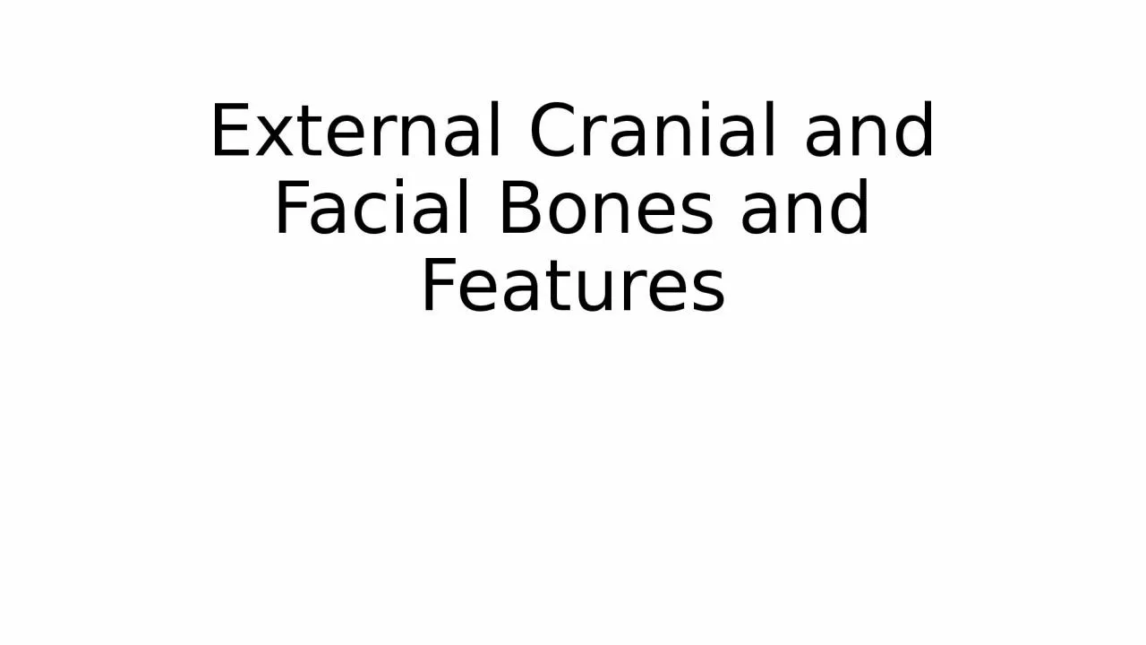 External Cranial and Facial Bones and Features