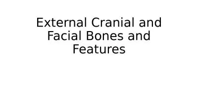 External Cranial and Facial Bones and Features