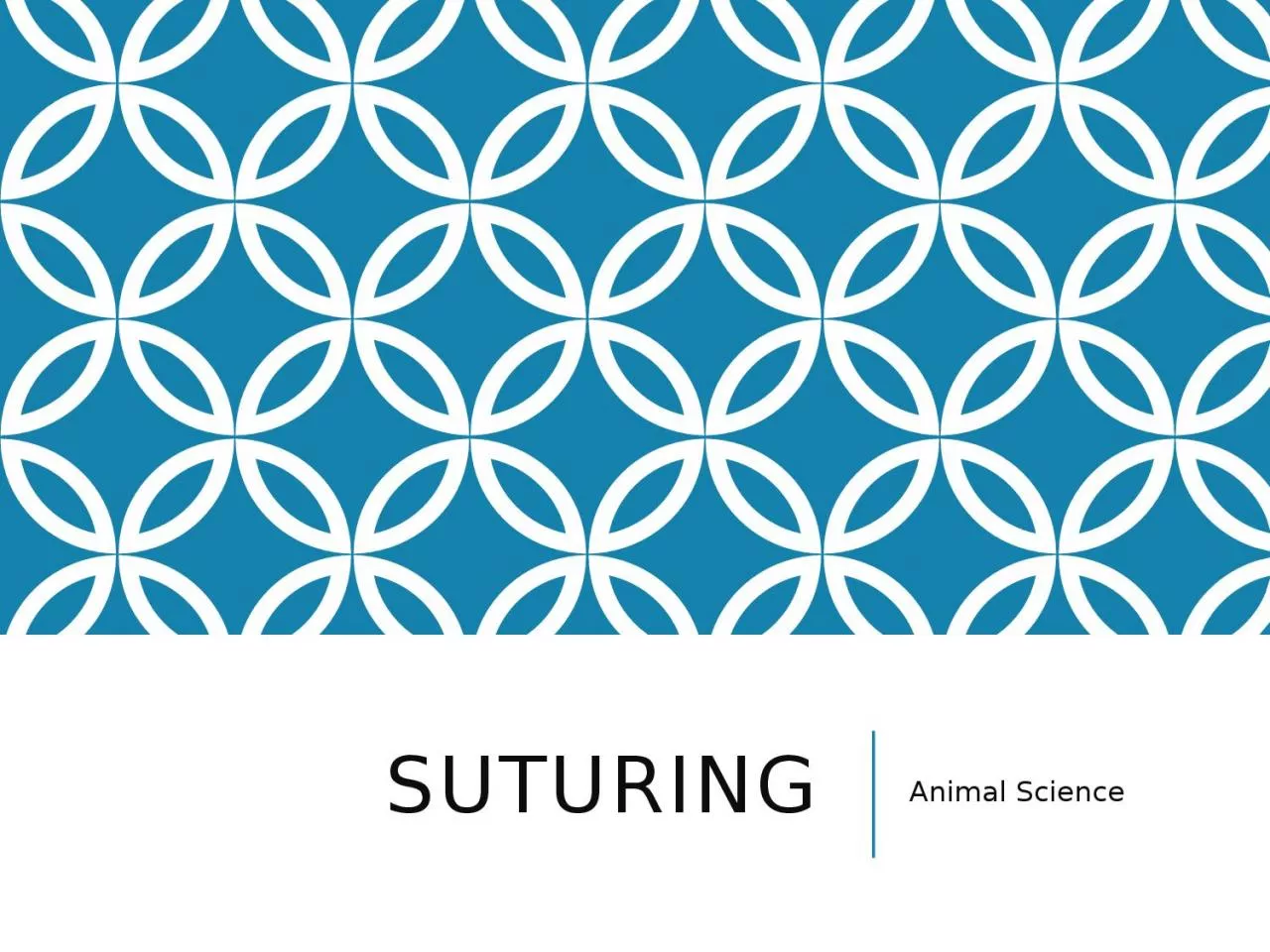 Suturing  Animal Science