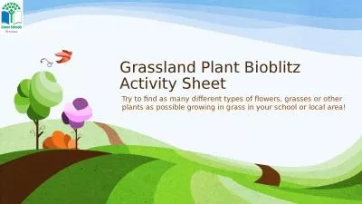 Grassland Plant  Bioblitz