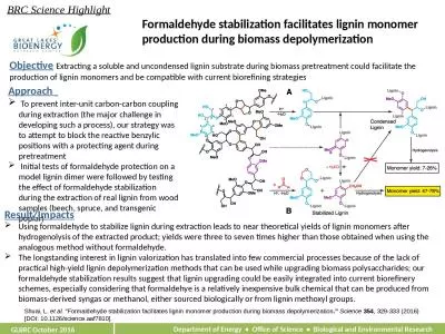 Formaldehyde stabilization facilitates lignin monomer production during biomass