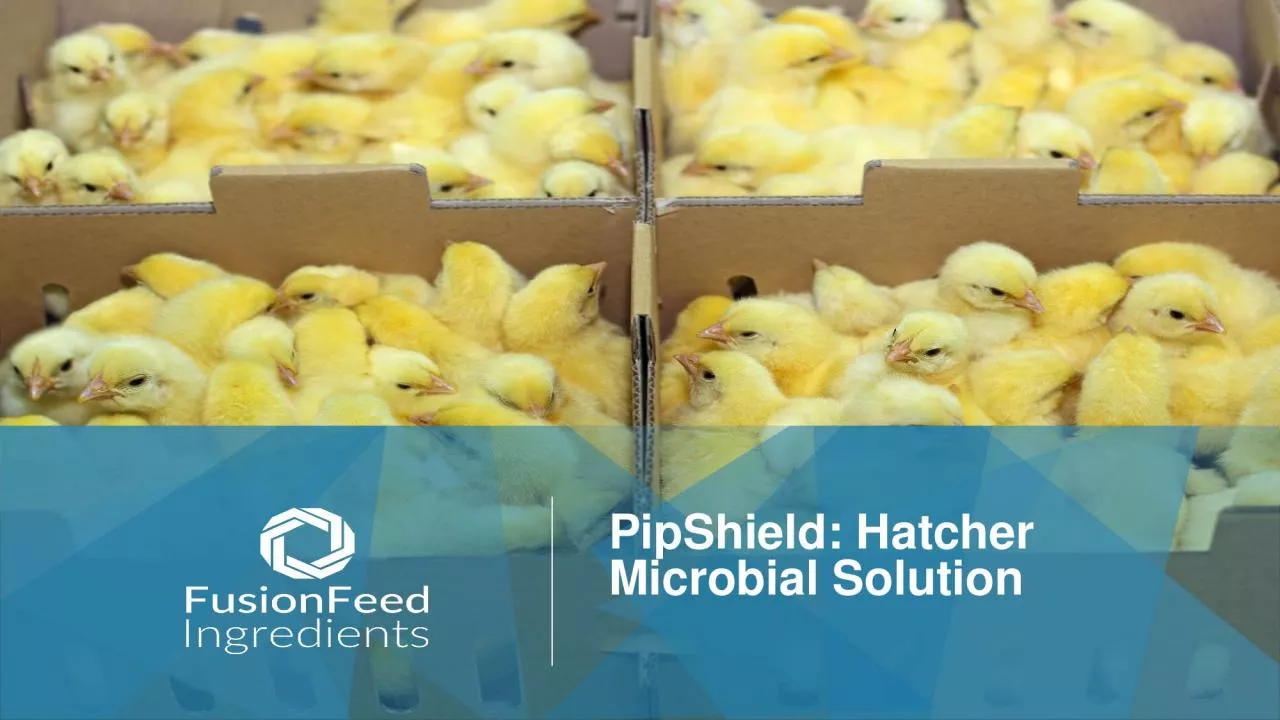 PipShield: Hatcher  Microbial Solution