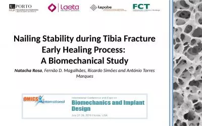 Nailing Stability during Tibia Fracture Early Healing Process: