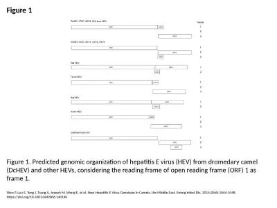 Figure 1 Figure 1. Predicted genomic organization of hepatitis E virus (HEV) from dromedary camel (