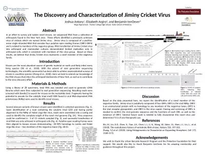 The Discovery and Characterization of Jiminy Cricket Virus
