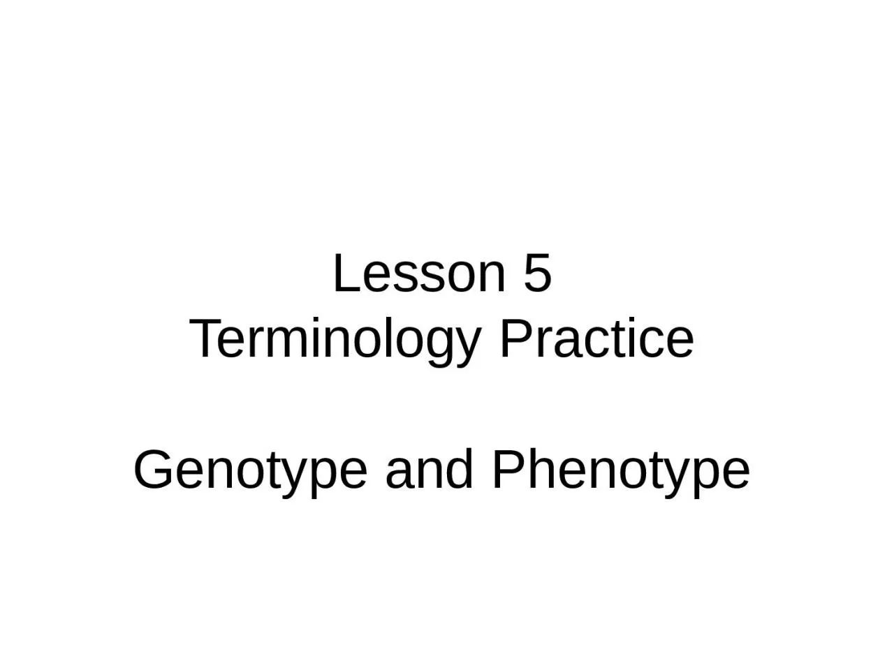 Lesson 5 Terminology Practice