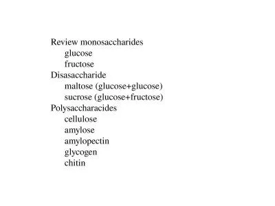 Review monosaccharides 	glucose