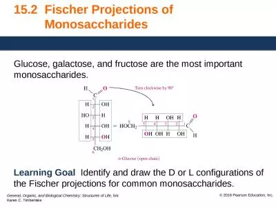 15.2	Fischer  Projections of