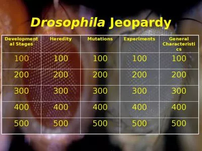 Drosophila  Jeopardy Developmental Stages