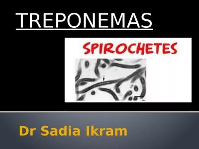 Dr  Sadia   Ikram TREPONEMAS