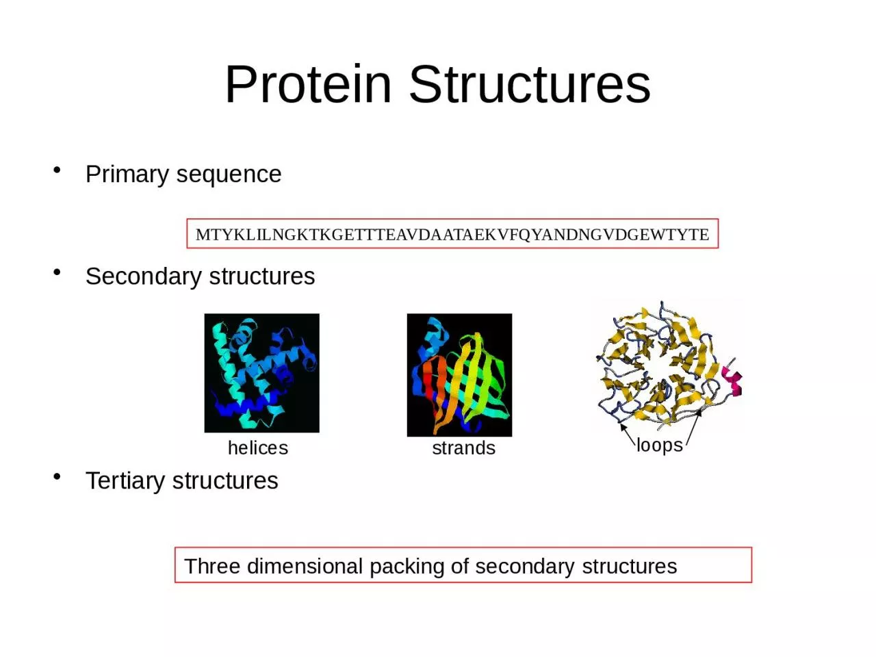 Protein Structures Primary sequence