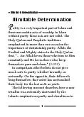 Illimitable Determination