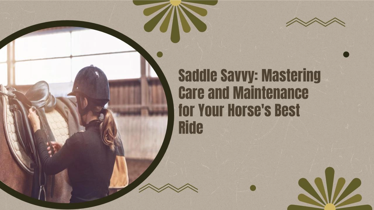 Mastering Care and Maintenance for Your Horse\'s Best Ride