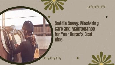 Mastering Care and Maintenance for Your Horse\'s Best Ride