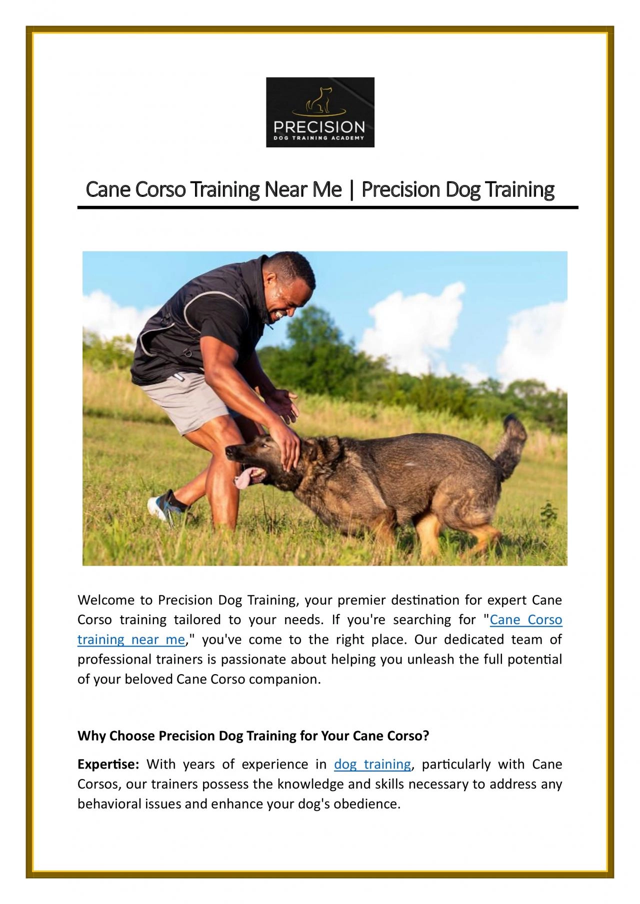 PDF-Cane Corso Training Near Me | Precision Dog Training