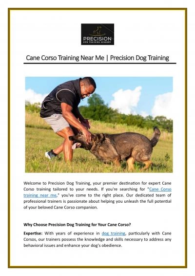 Cane Corso Training Near Me | Precision Dog Training