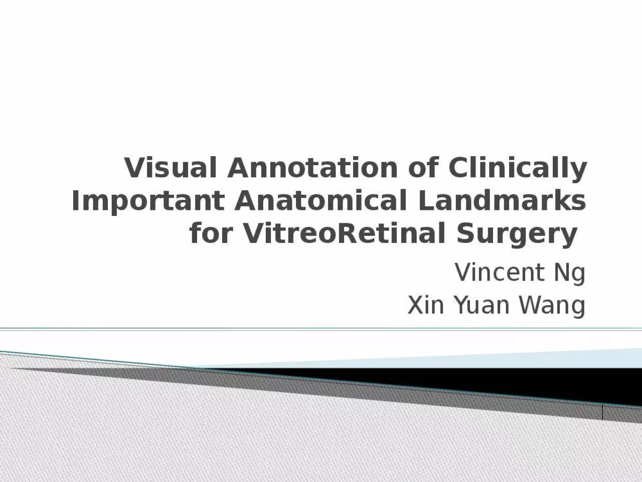 PPT-Visual Annotation of Clinically Important Anatomical Landmarks for