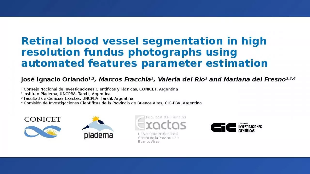 PPT-Retinal blood vessel segmentation in high resolution fundus photographs using automated