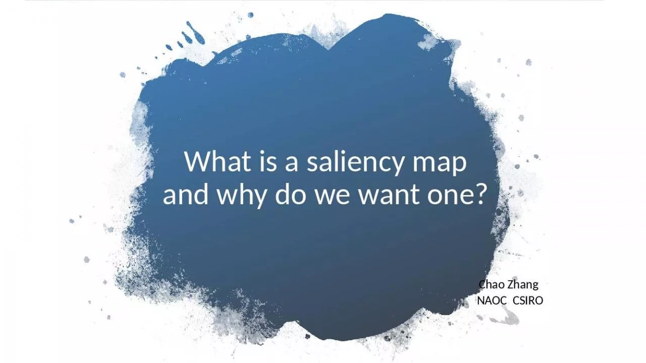 PPT-What is a saliency map and why do we want