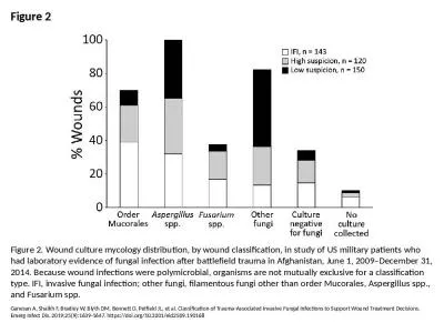 Figure 2 Figure 2. Wound culture mycology distribution, by wound classification, in study of US mil