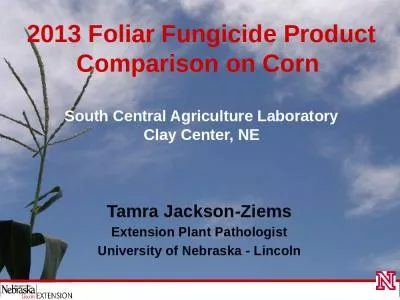 2013 Foliar Fungicide Product Comparison on Corn