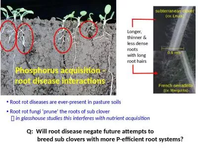 Phosphorus acquisition -