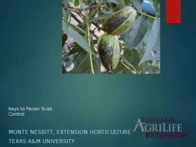 Keys to Pecan Scab Control