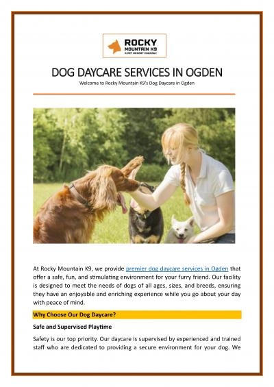 Dog Daycare Services In Ogden - Rocky Mountain K9