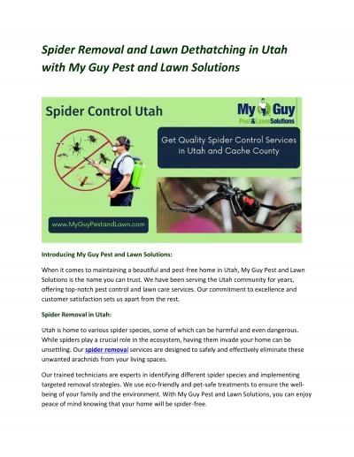 Spider Removal and Lawn Dethatching in Utah with My Guy Pest and Lawn Solutions